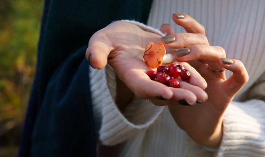 Hand met verse cranberry’s en paddenstoel in de natuur