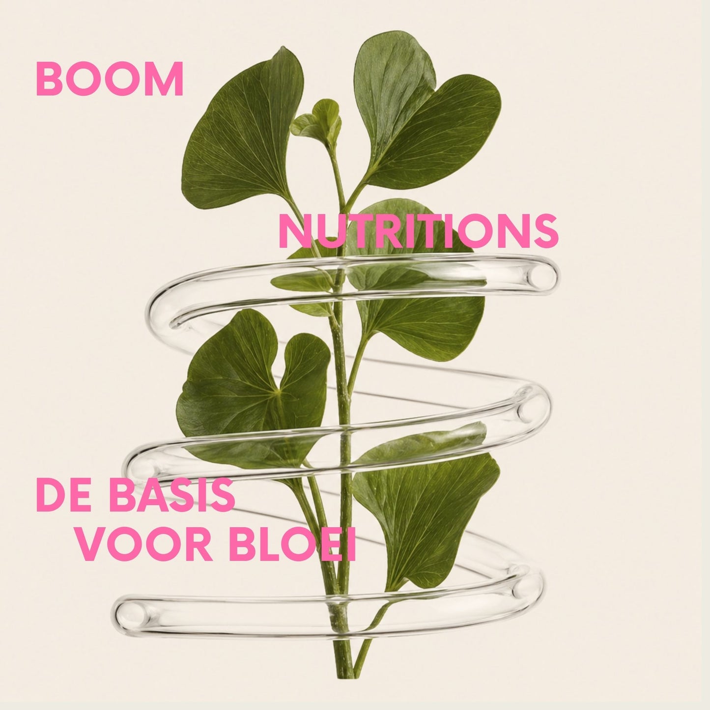 Boom Groenemorgen Gummies