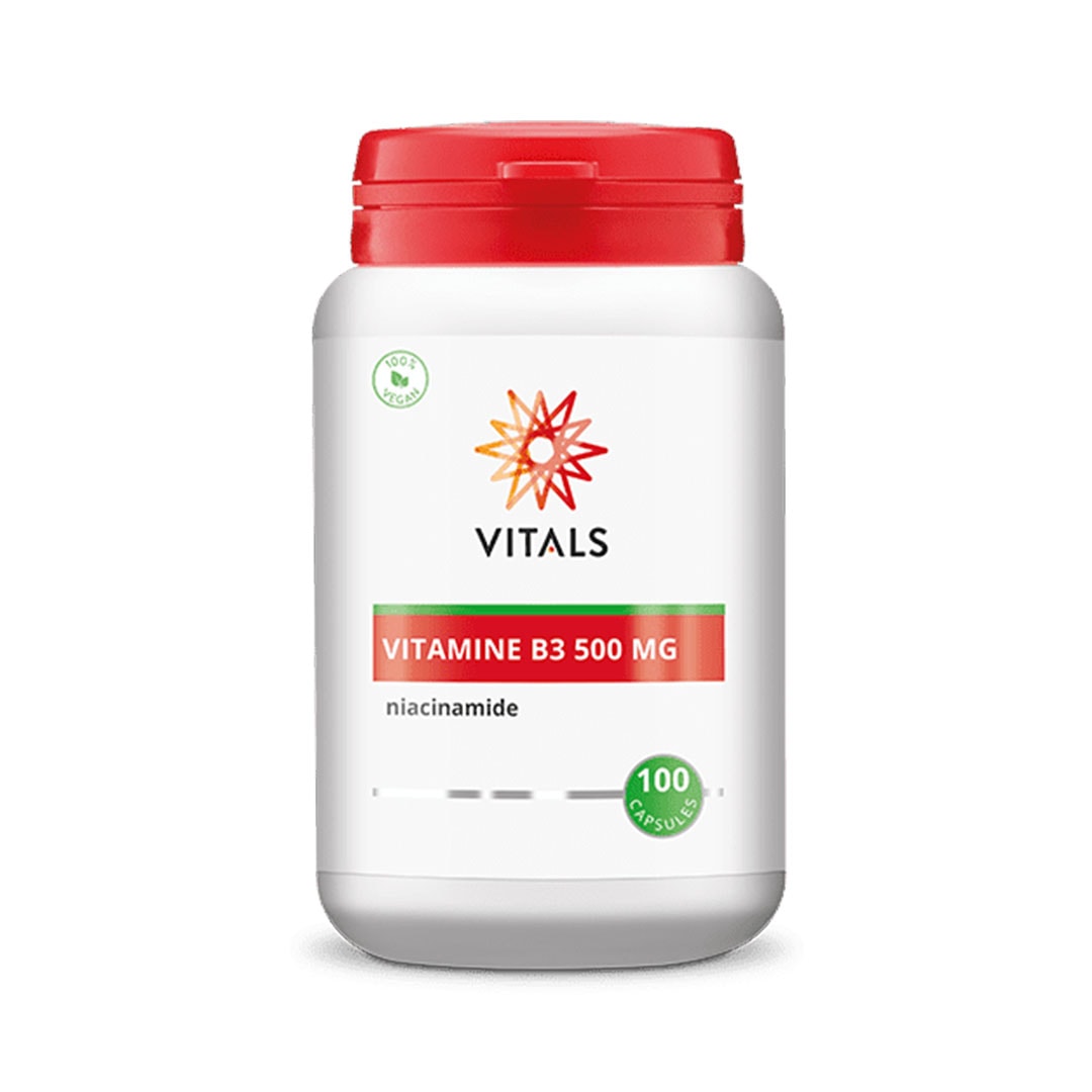 Vitals Vitamine B3 niacinamide 500 mg