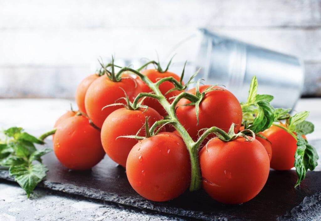 gaba tomaten