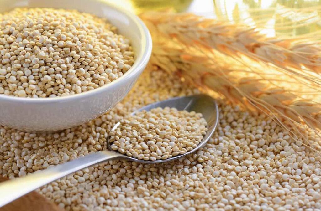 eiwitten quinoa