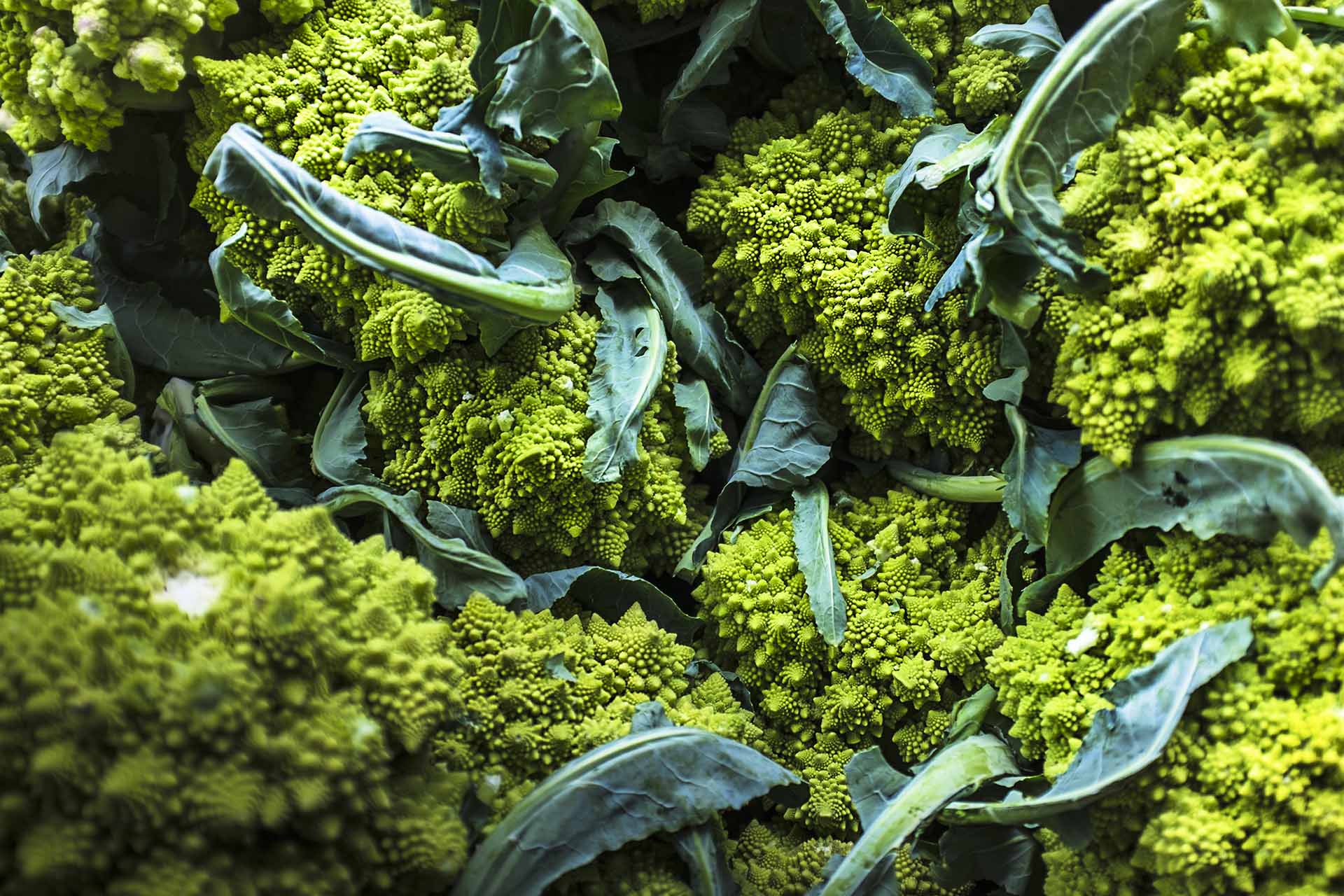 ijzer in broccoli