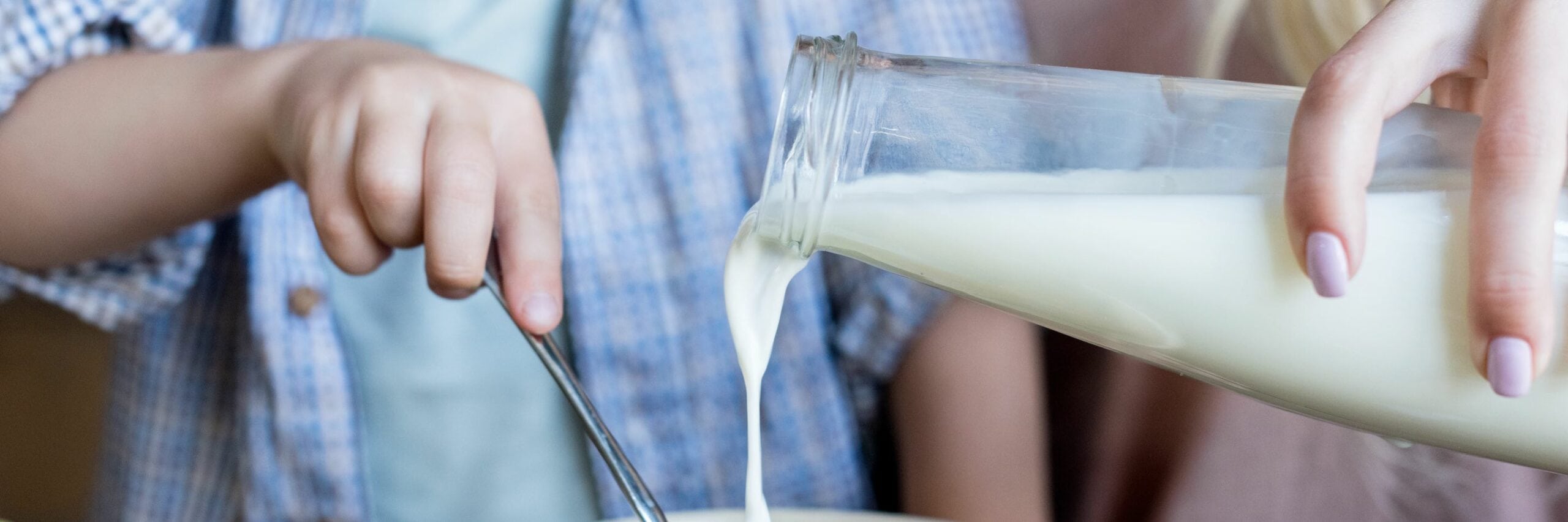 lactoferrine melk