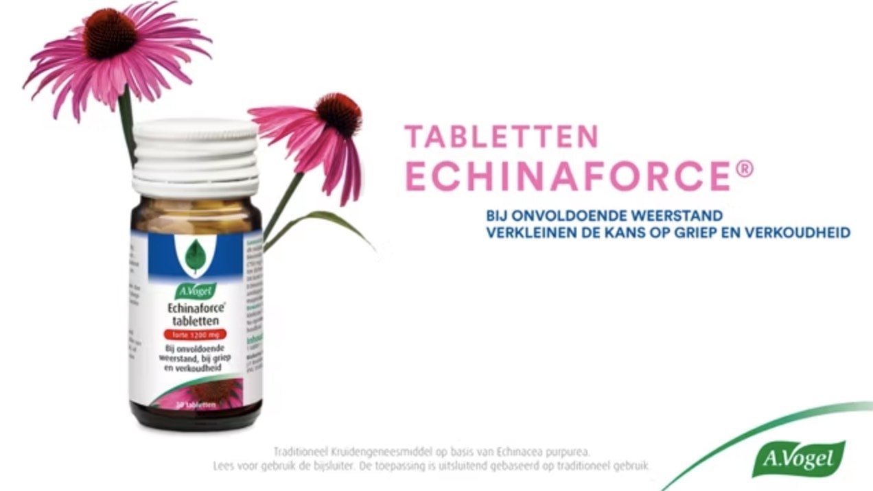 echinacea tabletten