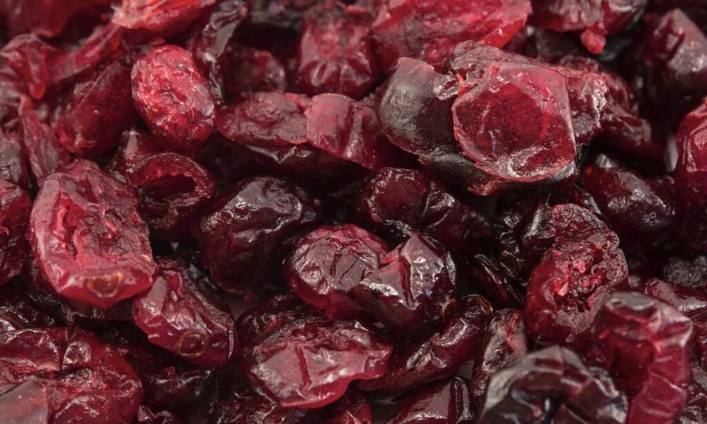 beste gedroogde cranberries antioxidanten