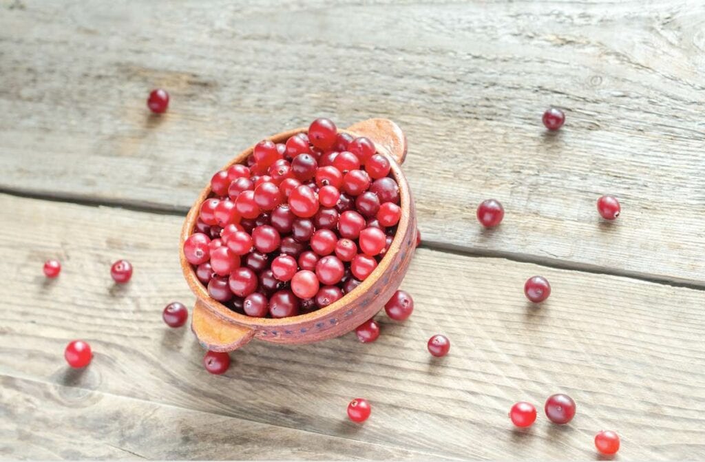 cranberry bijwerkingen