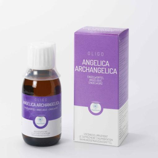 Oligoplant Angelica angelica arch 120 ml