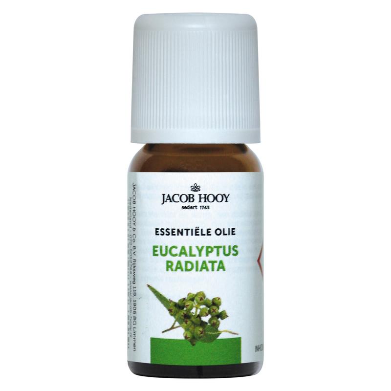 Jacob Hooy Eucalyptus radiata olie 10 ml