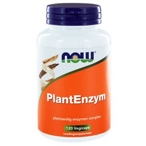 NOW PlantEnzym 120 vegan capsules