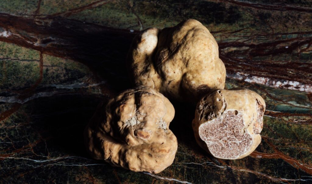 microdose witte truffels