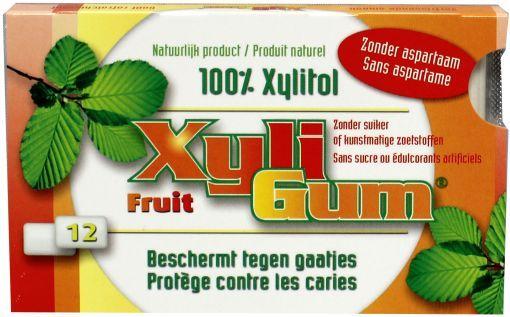 Xyligum Fruit 12 stuks