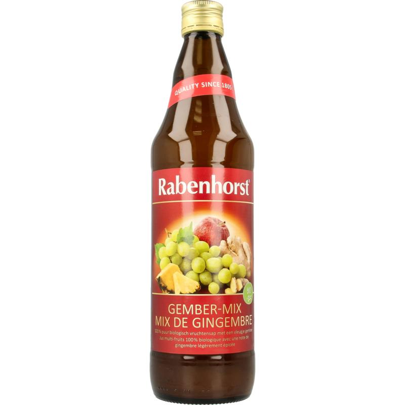 Rabenhorst Ginger mix bio 750 ml