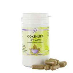 Holisan Gokshura 60 capsules