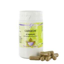 Holisan Guduchi 60 capsules