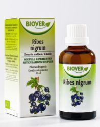 Biover Ribes nigrum bio 50 ml