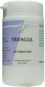 Holisan Trifagul 120 tabletten
