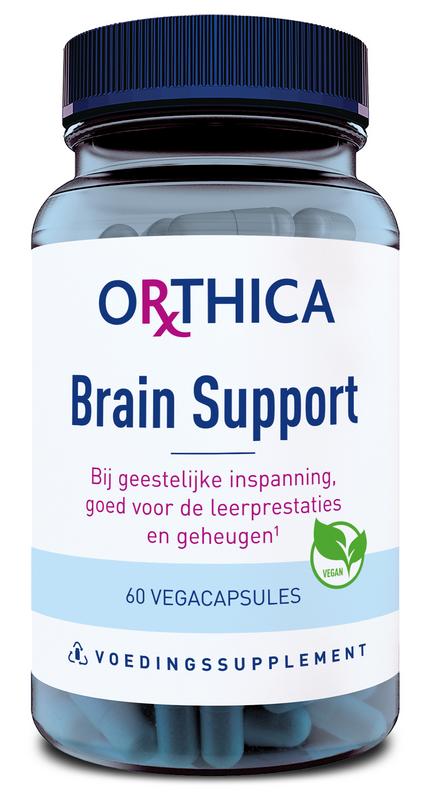 best nootropic supplement brain